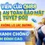 Cá cược an toàn